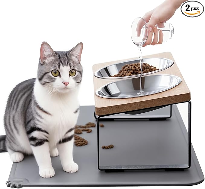 Upgraded Elevated Cat Bowls with Food Mat,15°Tilted Stand Anti Vomiting Raised Cat Dishes for Food and Water,2 Stainless Steel Bowls for Cats and Puppy — image 1