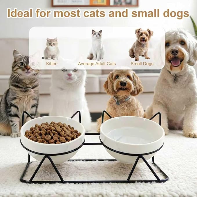 Elevated Tilted Cat Bowls for Indoor Cats，Raised Ceramic Cat Bowl Elevated 15°,Pet Feeding Bowls for Food and Water Anti Vomiting Bowl(Double Ceramics and Tilt Shelf) Suitable — image 2