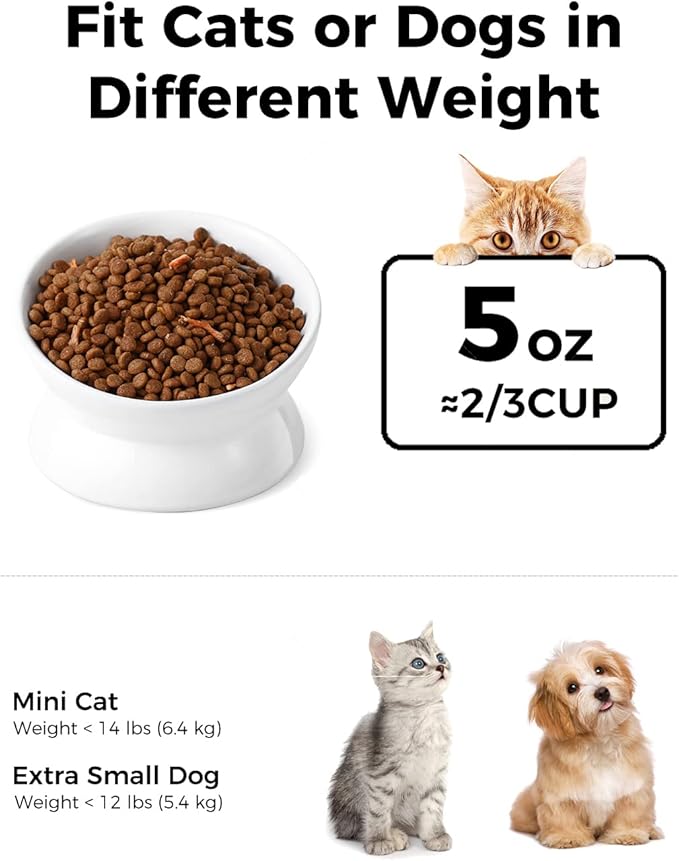 LoeJan Elevated Cat Food Bowl, 5 Oz Ceramic Raised and Tilted Water Bowl, Anti Vomiting and Protect Pets' Spines Dishes for Small Dog, Fat Faced Cat, Kitten (White, 1 Pack) — image 2