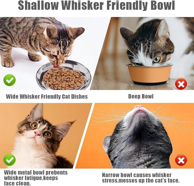 Stainless Steel Cat Bowls Food Dishes for Indoor Cats Cats Shallow Whisker Friendly 6.4Inches Cat Food Water Dishes Bowls Whisker Fatigue Relief Dishwasher Safe 2Pcs — image 2