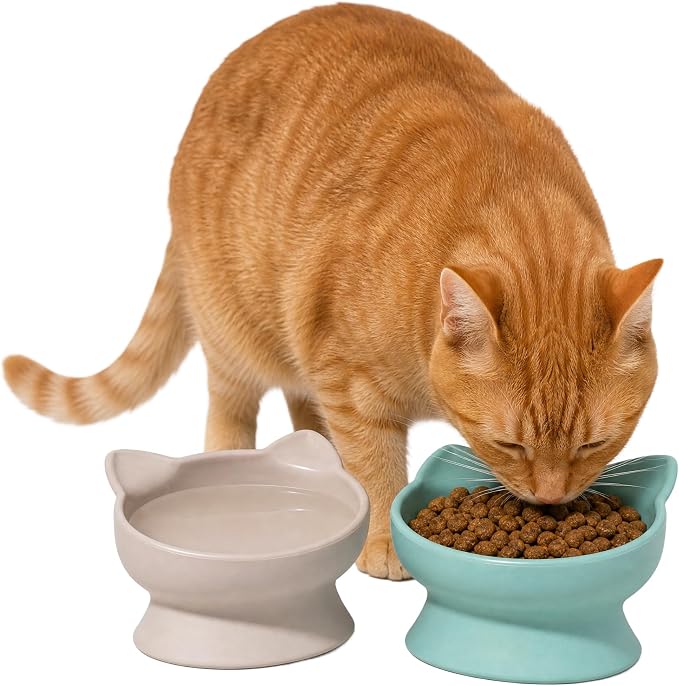 Kitty City Elevated Cat Bowls (Set of 2), Whisker-Friendly Raised Cat Food & Water Dishes, Modern Pedestal Design, Dishwasher Safe, 6.5 oz Each – Pink & Teal — image 2