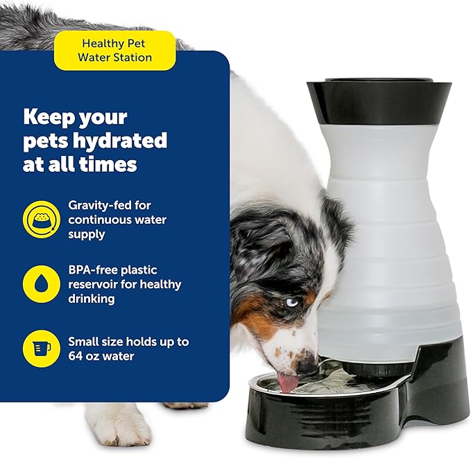 PetSafe Healthy Pet Water Station - Small, 64 oz Capacity - Gravity Pet Water Fountain, Automatic Cat Water Fountain, Dog Water Fountain, Water Dispenser - Removable Stainless Steel Bowl Included — image 2