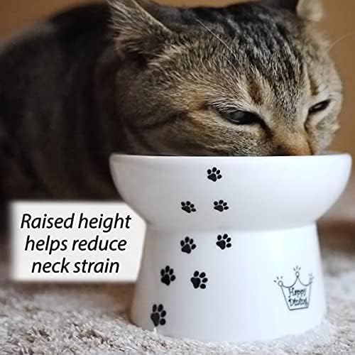 Necoichi Raised Cat Food Bowl – Ceramic Elevated Cat Bowl for Whisker & Neck Fatigue, Dishwasher Microwave Safe – Non-Slip & Anti Vomiting Ergonomic Design (Cats, Regular, 1-Cup Capacity) — image 2