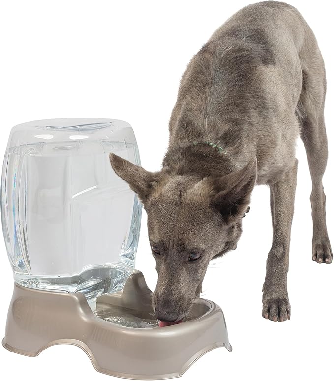 Petmate Pet Cafe Cat and Dog Water Dispenser - Water Bowl for Cats and Dogs, USA Made, 3 GAL, Pearl Tan — image 2