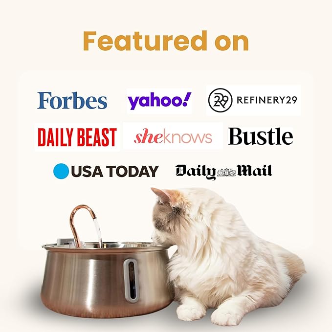 KittySpout Stainless Steel Cat Water Fountain Automatic Drinking Fountain, Quiet Circulating Water Bowl, Dishwasher Safe, Indoor Pet Fountain for Hydrated Healthy Cats (Stainless Steel, 4L Corded) — image 3