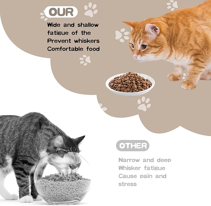 6 Pack Cat Food Bowl, Ceramic Cat Bowls, Anti Whisker Fatigue Cats Bowl Set,5.5 Inches Shallow Wide Kitten Plates for Food and Water (White-A) — image 3