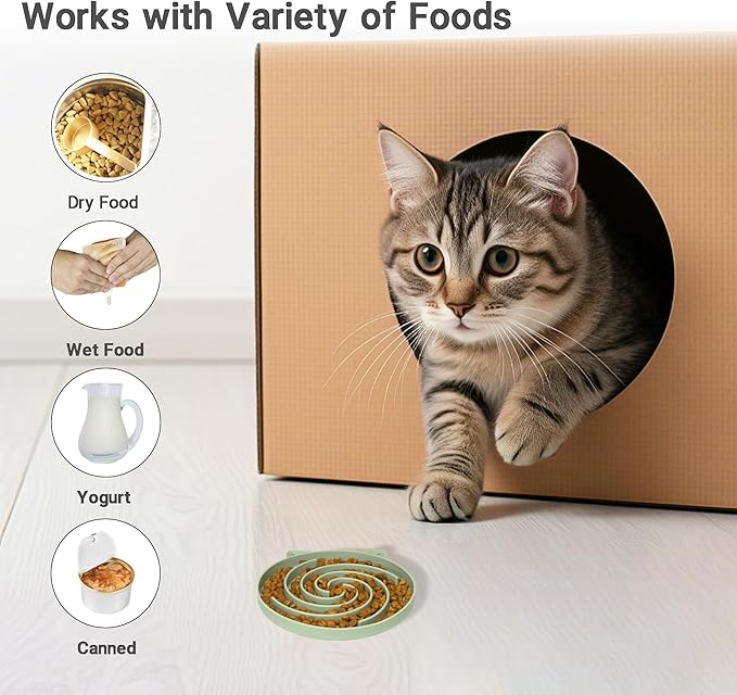 Bifeaw Slow Feeder Cat Bowl, Easy to Clean Silicone Bowl, Ideal for Dry and Wet Food (Green and Blue) — image 3
