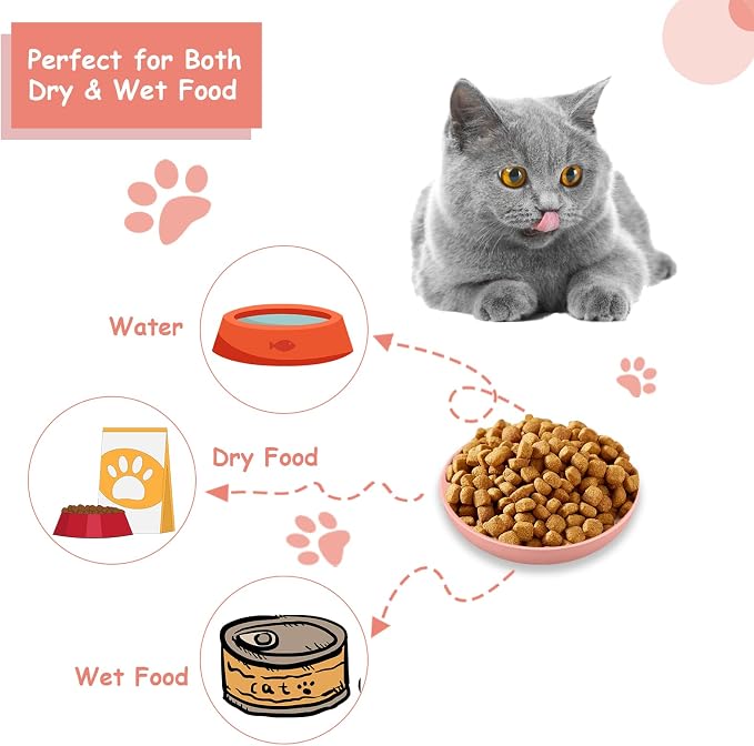 [8-Pieces] Whisker Fatigue Cat Bowl - 5.5 Inch Shallow Cat Food Dish Wide Cats Wet Feeding Bowls, PET Plate for Kittens and Short Legged Cats (Type-A Normal Bowls) — image 3
