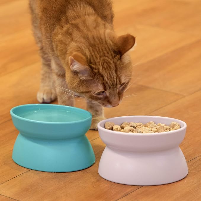Kitty City Elevated Cat Bowls (Set of 2), Whisker-Friendly Raised Cat Food & Water Dishes, Modern Pedestal Design, Dishwasher Safe, 6.5 oz Each – Teal & Light Pink — image 3