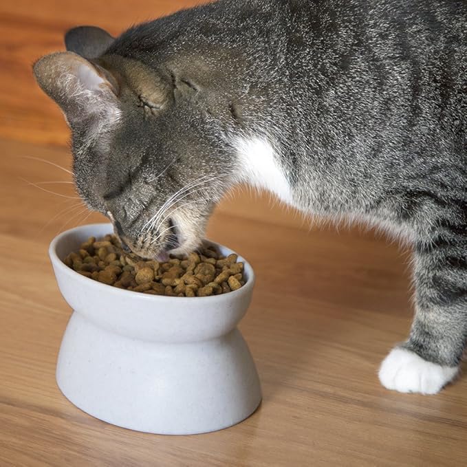 Kitty City Elevated Cat Bowls (Set of 2), Whisker-Friendly Raised Cat Food & Water Dishes, Modern Pedestal Design, Dishwasher Safe, 6.5 oz Each – White & Gray — image 3
