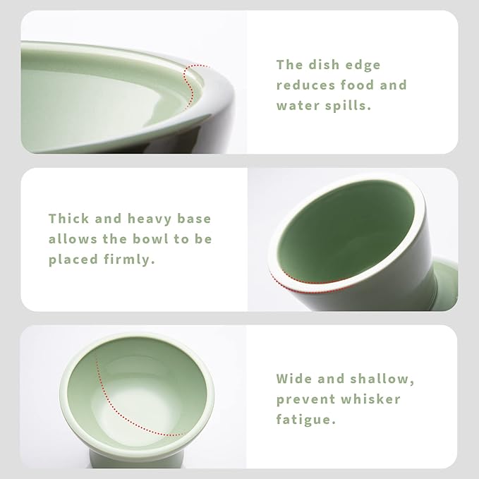CEEFU 2 Elevated Ceramic Cat Bowls Extra Wide for Food & Water – Whisker Fatigue Shallow Food Dish, Lead & Cadmium-Free, Raised Height for Cats, Sage Green — image 3