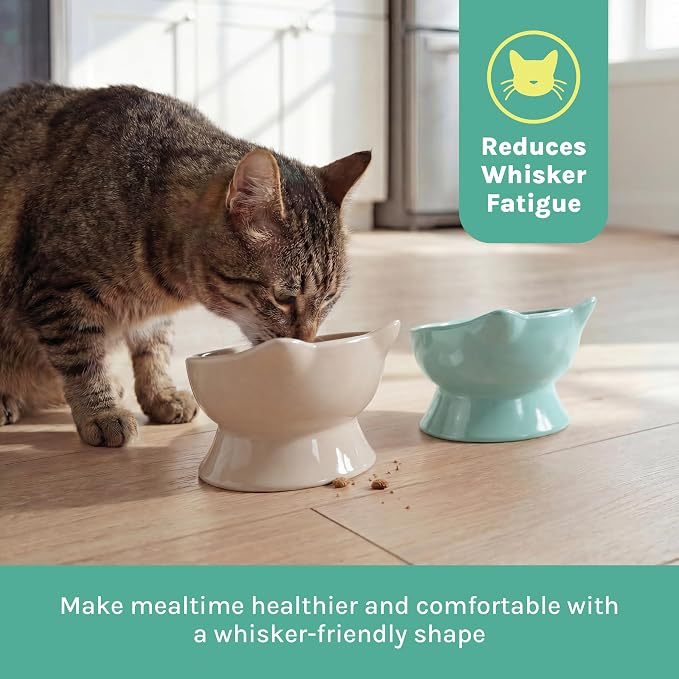 Kitty City Elevated Cat Bowls (Set of 2), Whisker-Friendly Raised Cat Food & Water Dishes, Modern Pedestal Design, Dishwasher Safe, 6.5 oz Each – Pink & Teal — image 4