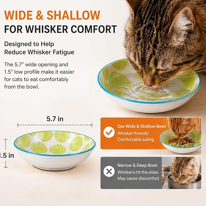Ceramic Cat Bowls with Non-Slip Silicone Bottom,6 Pack Cat Food Bowl,Anti Whisker Fatigue Cats Dishes for Indoor Cats,Healthy Ceramic Kitten Plates for Daily Feeding Gift Choice (Classic) — image 4