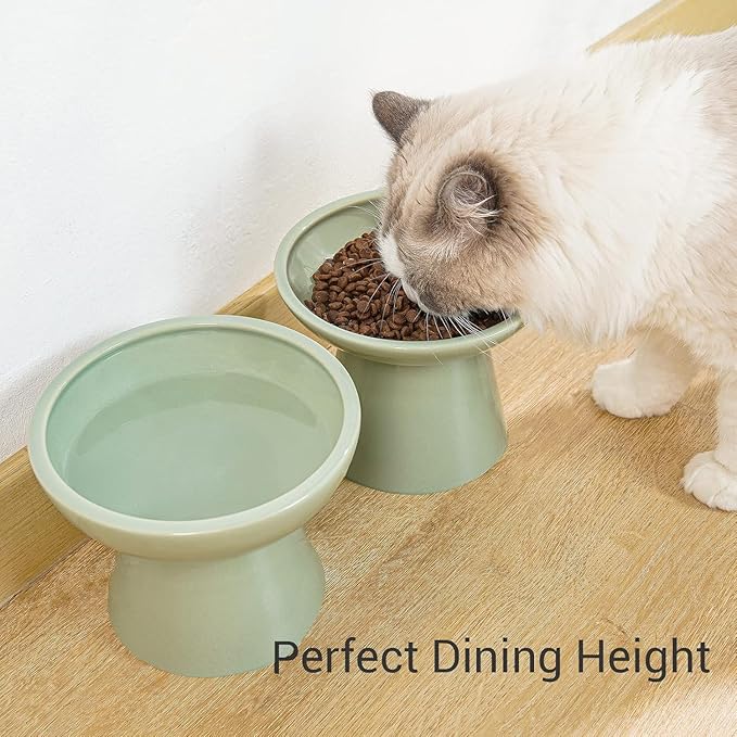 CEEFU 2 Elevated Ceramic Cat Bowls Extra Wide for Food & Water – Whisker Fatigue Shallow Food Dish, Lead & Cadmium-Free, Raised Height for Cats, Sage Green — image 4
