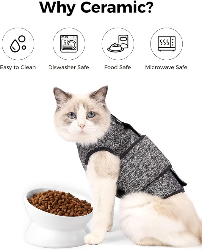 LoeJan Elevated Cat Food Bowl, 5 Oz Ceramic Raised and Tilted Water Bowl, Anti Vomiting and Protect Pets' Spines Dishes for Small Dog, Fat Faced Cat, Kitten (White, 1 Pack) — image 4