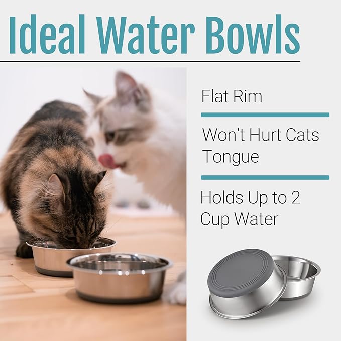 PEGYY11 Nonslip Stainless Steel Dog Cat Bowls, 2 US Cup, 2 Count — image 4