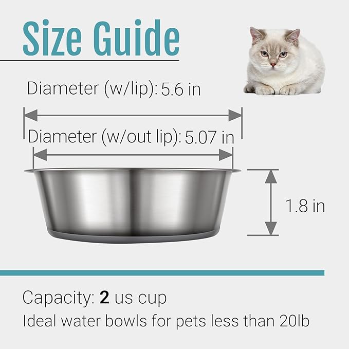 PEGYY11 Nonslip Stainless Steel Dog Cat Bowls, 2 US Cup, 2 Count — image 5