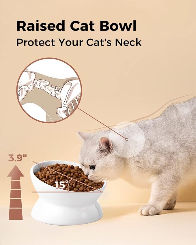 LoeJan Elevated Cat Food Bowl, 5 Oz Ceramic Raised and Tilted Water Bowl, Anti Vomiting and Protect Pets' Spines Dishes for Small Dog, Fat Faced Cat, Kitten (White, 1 Pack) — image 5