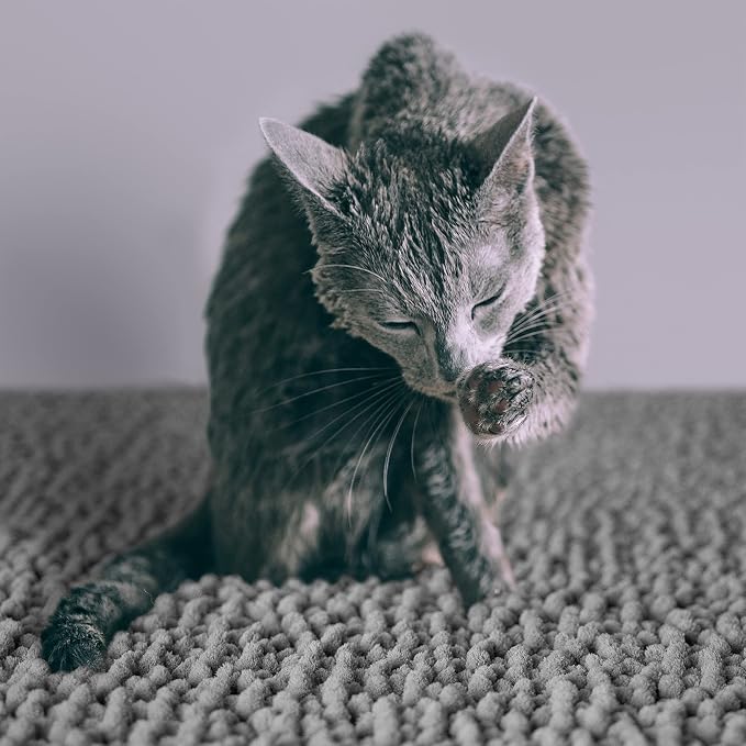 CatGuru Cat Litter Mat, Medium, Extra Large, XXL, Waterproof Litter Box Mat, Non Slip Kitty Litter Mat, Machine Washable Litter Trapping Mat, Soft Litter Tray, Cat Stuff (XL, Gray/Heavy-Duty) — image 5