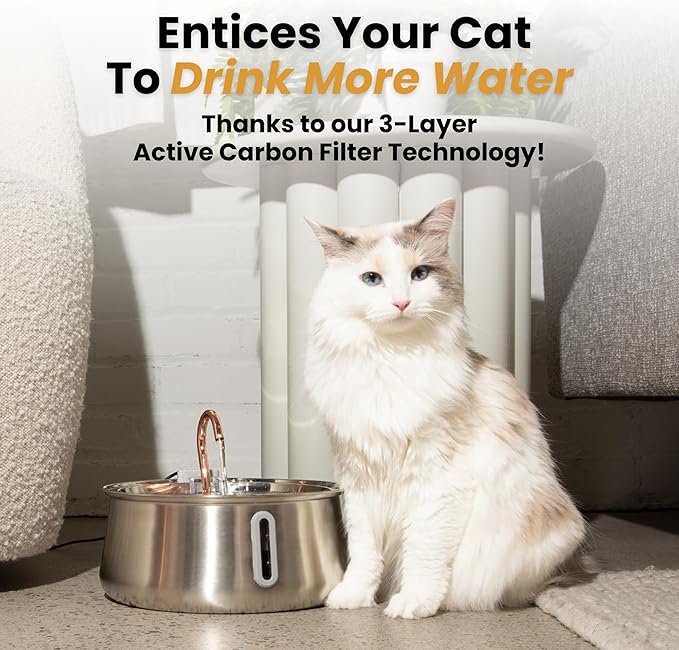 KittySpout Stainless Steel Cat Water Fountain Automatic Drinking Fountain, Quiet Circulating Water Bowl, Dishwasher Safe, Indoor Pet Fountain for Hydrated Healthy Cats (Stainless Steel, 4L Corded) — image 5