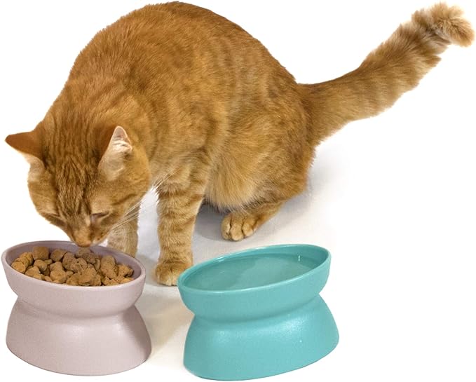 Kitty City Elevated Cat Bowls (Set of 2), Whisker-Friendly Raised Cat Food & Water Dishes, Modern Pedestal Design, Dishwasher Safe, 6.5 oz Each – Teal & Light Pink — image 5