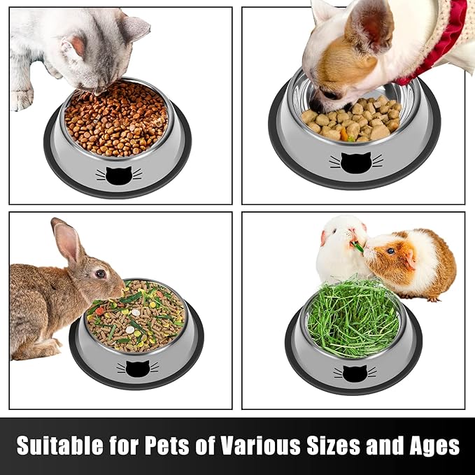 Serentive 2 Pcs Non-Slip Stainless Steel Small Cat Food Bowls - Unbreakable, Thicken 7 Oz Cat Dishes - Indoor, Removable Rubber Base, Easily Clean, Lovely Color — image 5