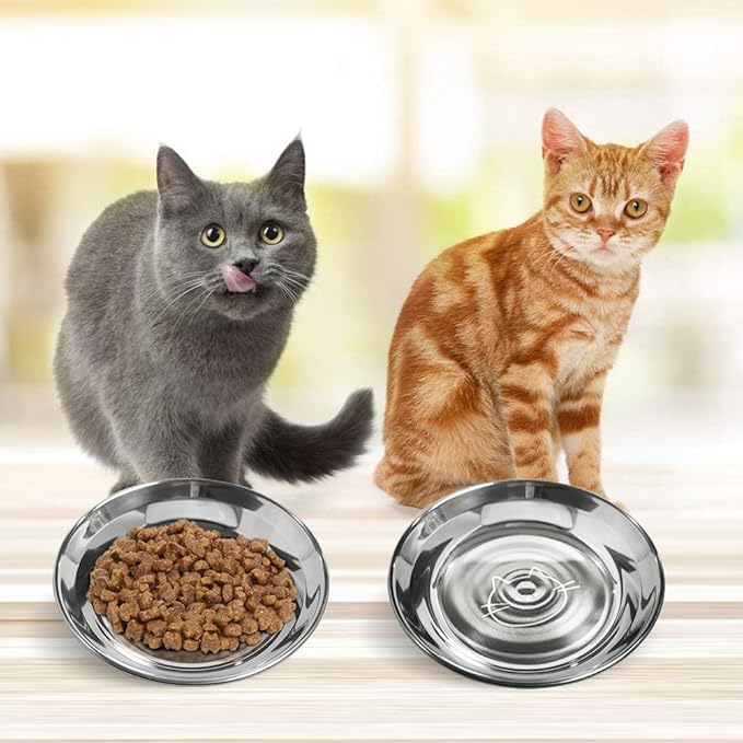 Stainless Steel Cat Bowls Food Dishes for Indoor Cats Cats Shallow Whisker Friendly 6.4Inches Cat Food Water Dishes Bowls Whisker Fatigue Relief Dishwasher Safe 2Pcs — image 5