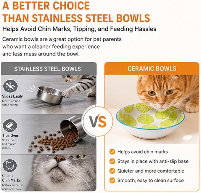 Ceramic Cat Bowls with Non-Slip Silicone Bottom,6 Pack Cat Food Bowl,Anti Whisker Fatigue Cats Dishes for Indoor Cats,Healthy Ceramic Kitten Plates for Daily Feeding Gift Choice (Classic) — image 5