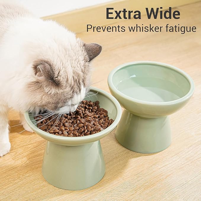 CEEFU 2 Elevated Ceramic Cat Bowls Extra Wide for Food & Water – Whisker Fatigue Shallow Food Dish, Lead & Cadmium-Free, Raised Height for Cats, Sage Green — image 5