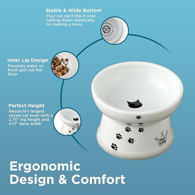 Necoichi Raised Cat Food Bowl – Ceramic Elevated Cat Bowl for Whisker & Neck Fatigue, Dishwasher Microwave Safe – Non-Slip & Anti Vomiting Ergonomic Design (Cats, Regular, 1-Cup Capacity) — image 6