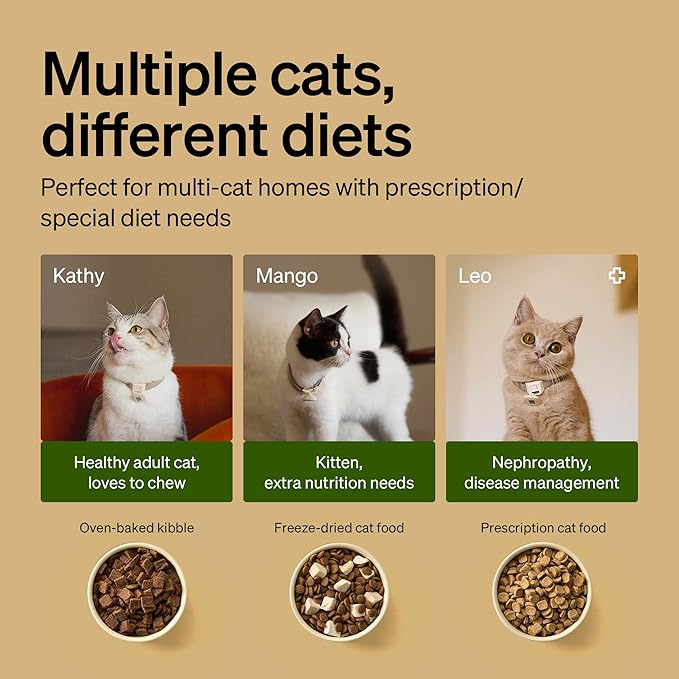 PETLIBRO RFID Automatic Cat Feeder, Collar Tag-Activated Personalized Meals, 5G&2.4G Wi-Fi Programmable Cat Food Dispenser with Cats Recognition & Diet Tracking for Multi-Pet Homes and Different Diets — image 6