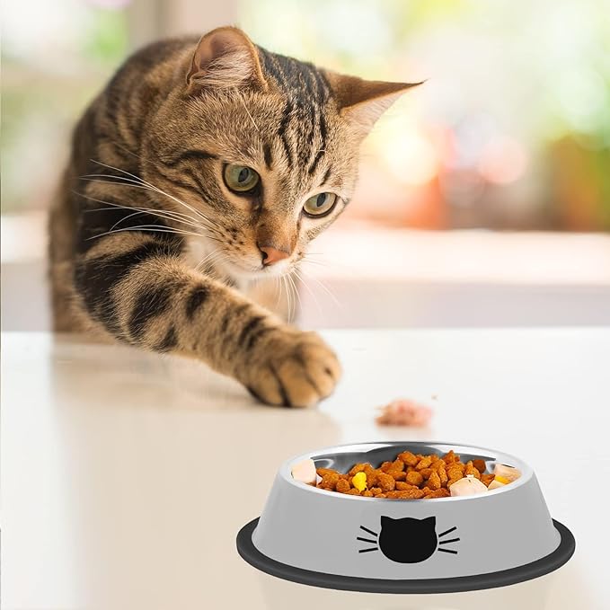 Serentive 2 Pcs Non-Slip Stainless Steel Small Cat Food Bowls - Unbreakable, Thicken 7 Oz Cat Dishes - Indoor, Removable Rubber Base, Easily Clean, Lovely Color — image 6