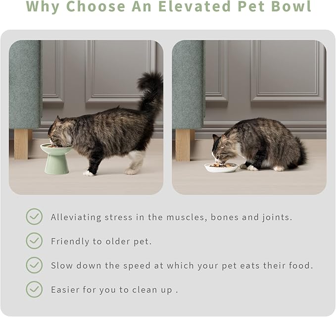 CEEFU 2 Elevated Ceramic Cat Bowls Extra Wide for Food & Water – Whisker Fatigue Shallow Food Dish, Lead & Cadmium-Free, Raised Height for Cats, Sage Green — image 6