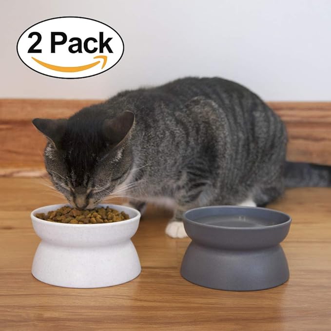 Kitty City Elevated Cat Bowls (Set of 2), Whisker-Friendly Raised Cat Food & Water Dishes, Modern Pedestal Design, Dishwasher Safe, 6.5 oz Each – White & Gray — image 6
