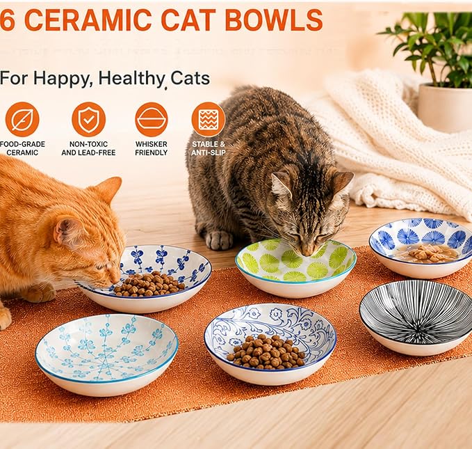 Ceramic Cat Bowls with Non-Slip Silicone Bottom,6 Pack Cat Food Bowl,Anti Whisker Fatigue Cats Dishes for Indoor Cats,Healthy Ceramic Kitten Plates for Daily Feeding Gift Choice (Classic) — image 6
