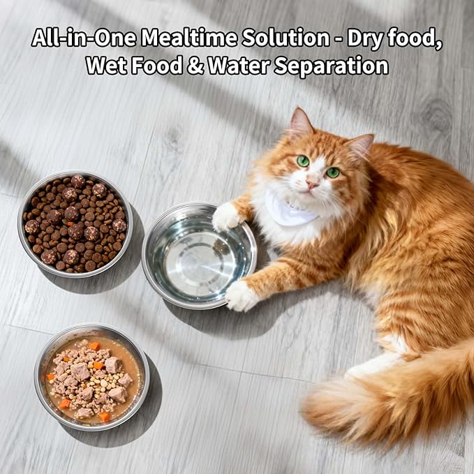 Tifanso 6PCS Stainless Steel Cat Bowls Dishes, 5.6” Metal Shallow Wide Whisker Friendly Cat Food Water Feeding Bowl, Kitten Plates, Basic Indoor Pet Food Tray, Dishwasher Safe — image 6