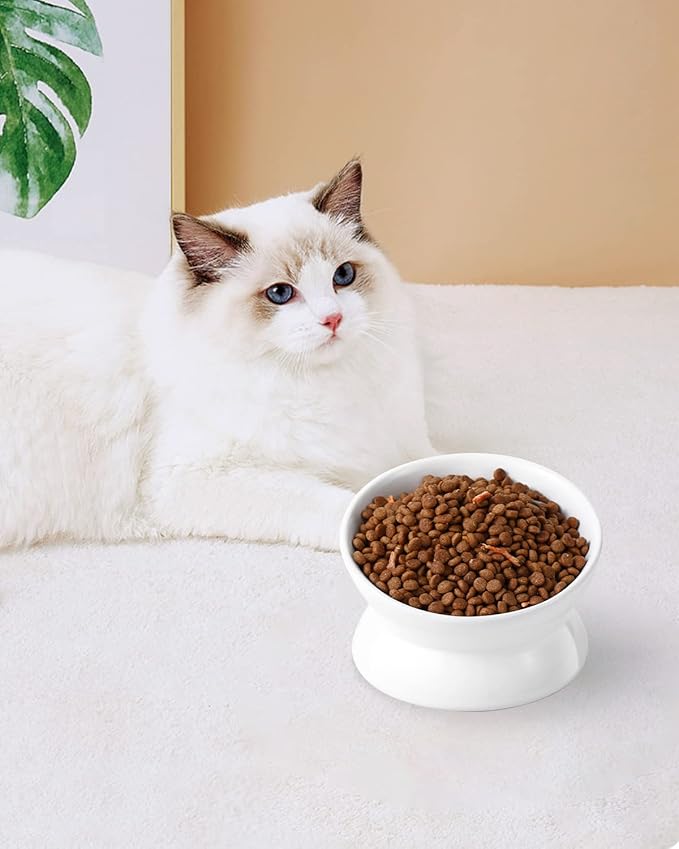 LoeJan Elevated Cat Food Bowl, 5 Oz Ceramic Raised and Tilted Water Bowl, Anti Vomiting and Protect Pets' Spines Dishes for Small Dog, Fat Faced Cat, Kitten (White, 1 Pack) — image 7