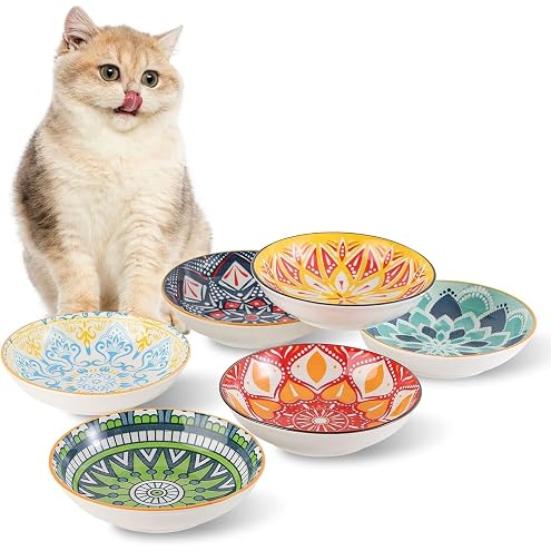 Ceramic Cat Bowls with Non-Slip Silicone Bottom,6 Pack Cat Food Bowl,Anti Whisker Fatigue Cats Dishes for Indoor Cats,Healthy Ceramic Kitten Plates for Daily Feeding Gift Choice (Classic) — image 8