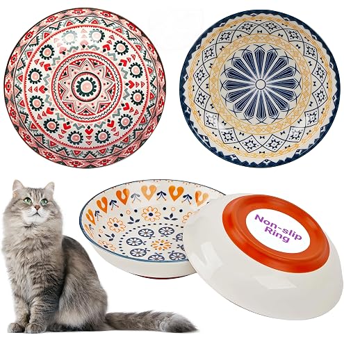 Ceramic Cat Bowls with Non-Slip Silicone Bottom,6 Pack Cat Food Bowl,Anti Whisker Fatigue Cats Dishes for Indoor Cats,Healthy Ceramic Kitten Plates for Daily Feeding Gift Choice (Classic) — image 9