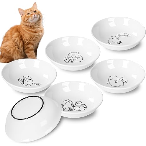 Ceramic Cat Bowls with Non-Slip Silicone Bottom,6 Pack Cat Food Bowl,Anti Whisker Fatigue Cats Dishes for Indoor Cats,Healthy Ceramic Kitten Plates for Daily Feeding Gift Choice (Classic) — image 10