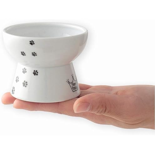 Necoichi Raised Cat Food Bowl – Ceramic Elevated Cat Bowl for Whisker & Neck Fatigue, Dishwasher Microwave Safe – Non-Slip & Anti Vomiting Ergonomic Design (Cats, Regular, 1-Cup Capacity) — image 10