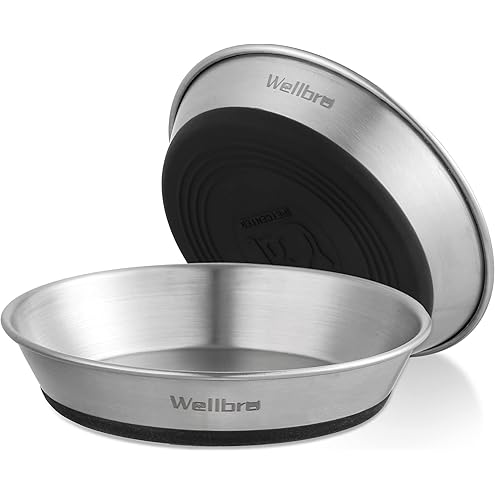 Stainless Steel Cat Bowls Food Dishes for Indoor Cats Cats Shallow Whisker Friendly 6.4Inches Cat Food Water Dishes Bowls Whisker Fatigue Relief Dishwasher Safe 2Pcs — image 11