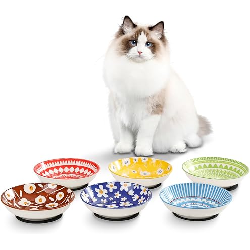 Ceramic Cat Bowls with Non-Slip Silicone Bottom,6 Pack Cat Food Bowl,Anti Whisker Fatigue Cats Dishes for Indoor Cats,Healthy Ceramic Kitten Plates for Daily Feeding Gift Choice (Classic) — image 11