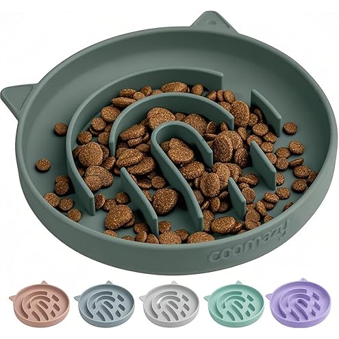 Bifeaw Slow Feeder Cat Bowl, Easy to Clean Silicone Bowl, Ideal for Dry and Wet Food (Green and Blue) — image 11