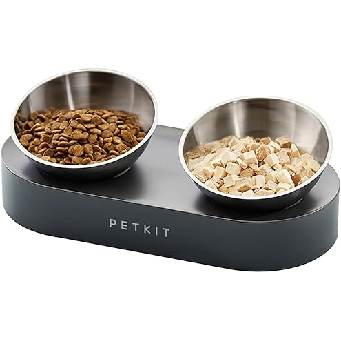 Upgraded Elevated Cat Bowls with Food Mat,15°Tilted Stand Anti Vomiting Raised Cat Dishes for Food and Water,2 Stainless Steel Bowls for Cats and Puppy — image 12