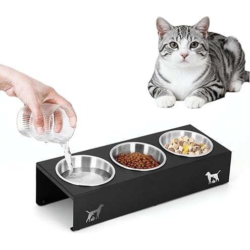 Bamboo Elevated Cat Bowls, 3 Stainless Steel Raised Cat Bowl with Stand, 15°Tilted Cat Feeding Station, Cat Food and Water Bowl Set for Small Cats, Anti Vomitting, Whisker Fatigue (Natural) — image 12