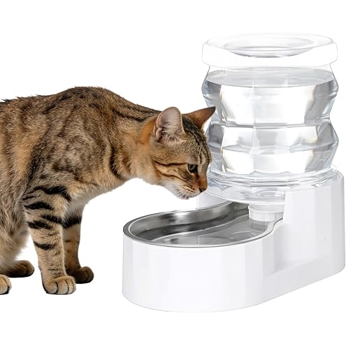PetSafe Healthy Pet Water Station - Small, 64 oz Capacity - Gravity Pet Water Fountain, Automatic Cat Water Fountain, Dog Water Fountain, Water Dispenser - Removable Stainless Steel Bowl Included — image 13