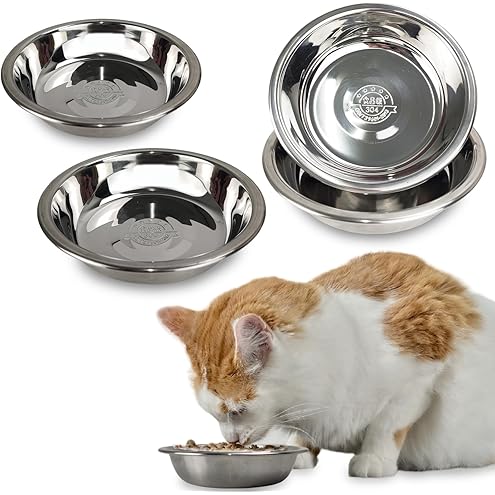Stainless Steel Cat Bowls Food Dishes for Indoor Cats Cats Shallow Whisker Friendly 6.4Inches Cat Food Water Dishes Bowls Whisker Fatigue Relief Dishwasher Safe 2Pcs — image 13