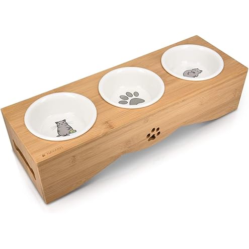 Bamboo Elevated Cat Bowls, 3 Stainless Steel Raised Cat Bowl with Stand, 15°Tilted Cat Feeding Station, Cat Food and Water Bowl Set for Small Cats, Anti Vomitting, Whisker Fatigue (Natural) — image 13