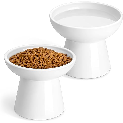 CEEFU 2 Elevated Ceramic Cat Bowls Extra Wide for Food & Water – Whisker Fatigue Shallow Food Dish, Lead & Cadmium-Free, Raised Height for Cats, Sage Green — image 13